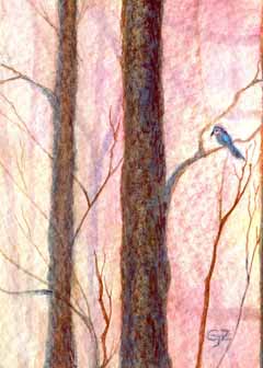 "Bird in Woods" by Charlene Zabawski, Madison WI - Acrylic & ink, SOLD